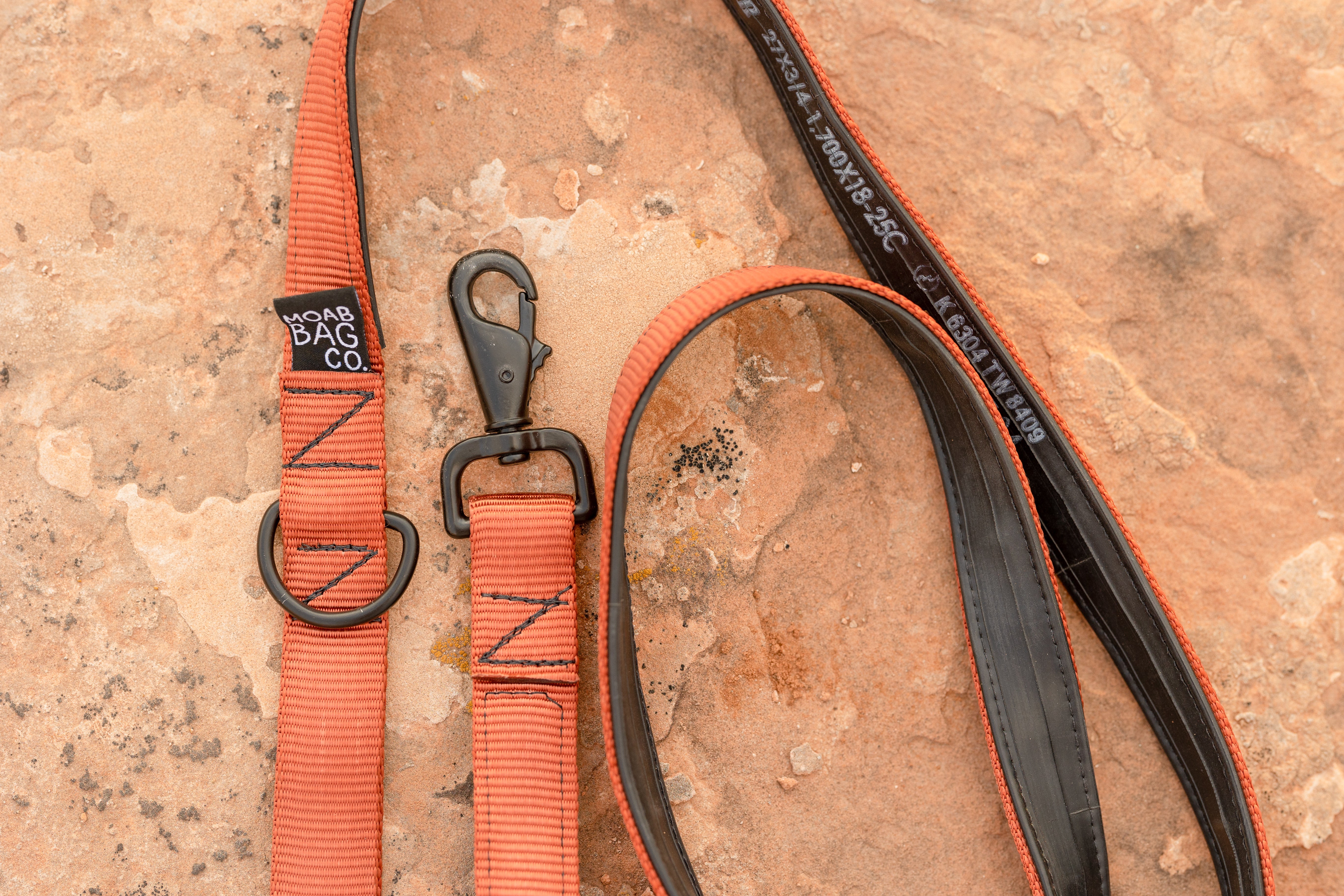 Dog Leash