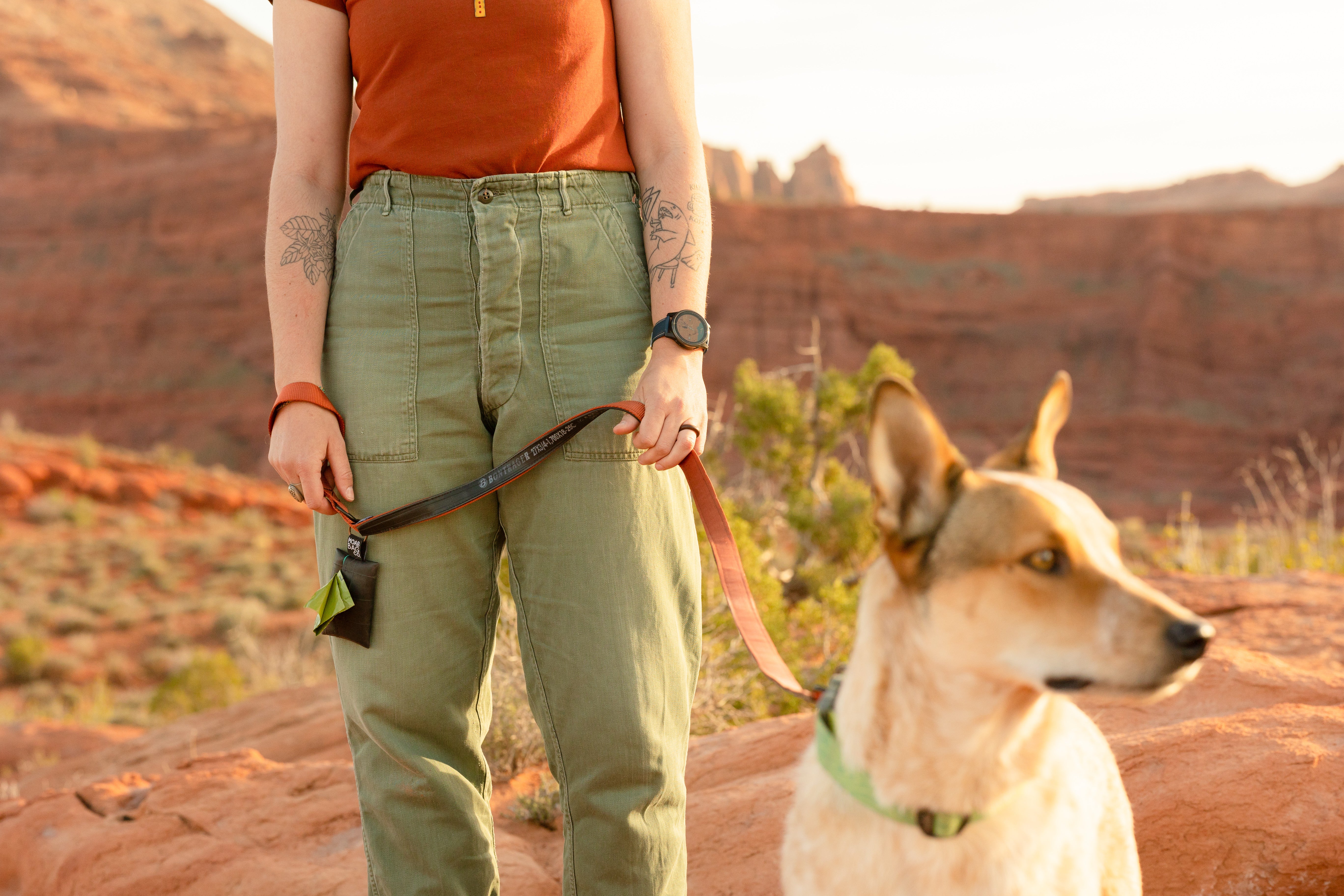 Dog Leash
