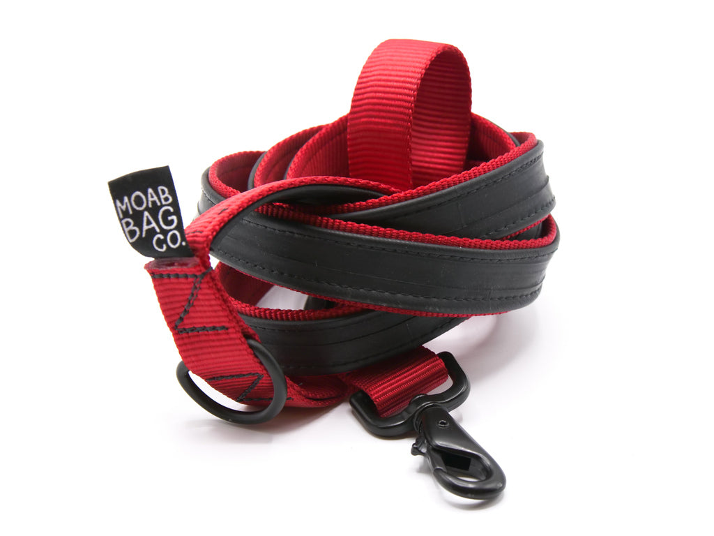 Dog Leash