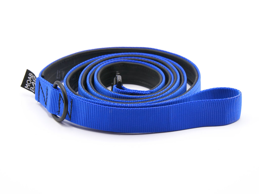 Dog Leash