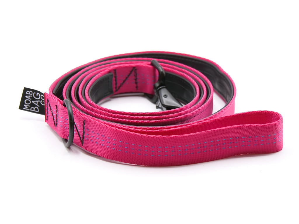 Dog Leash