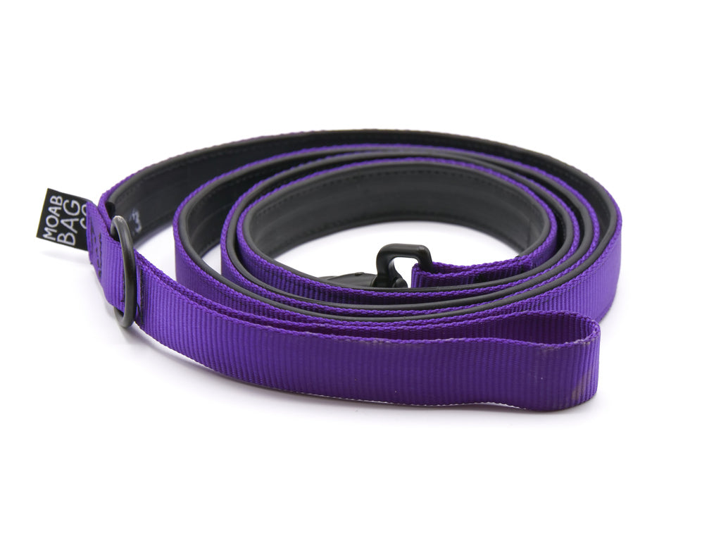 Dog Leash