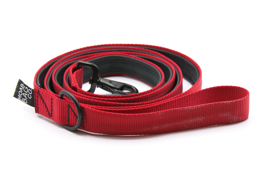 Dog Leash