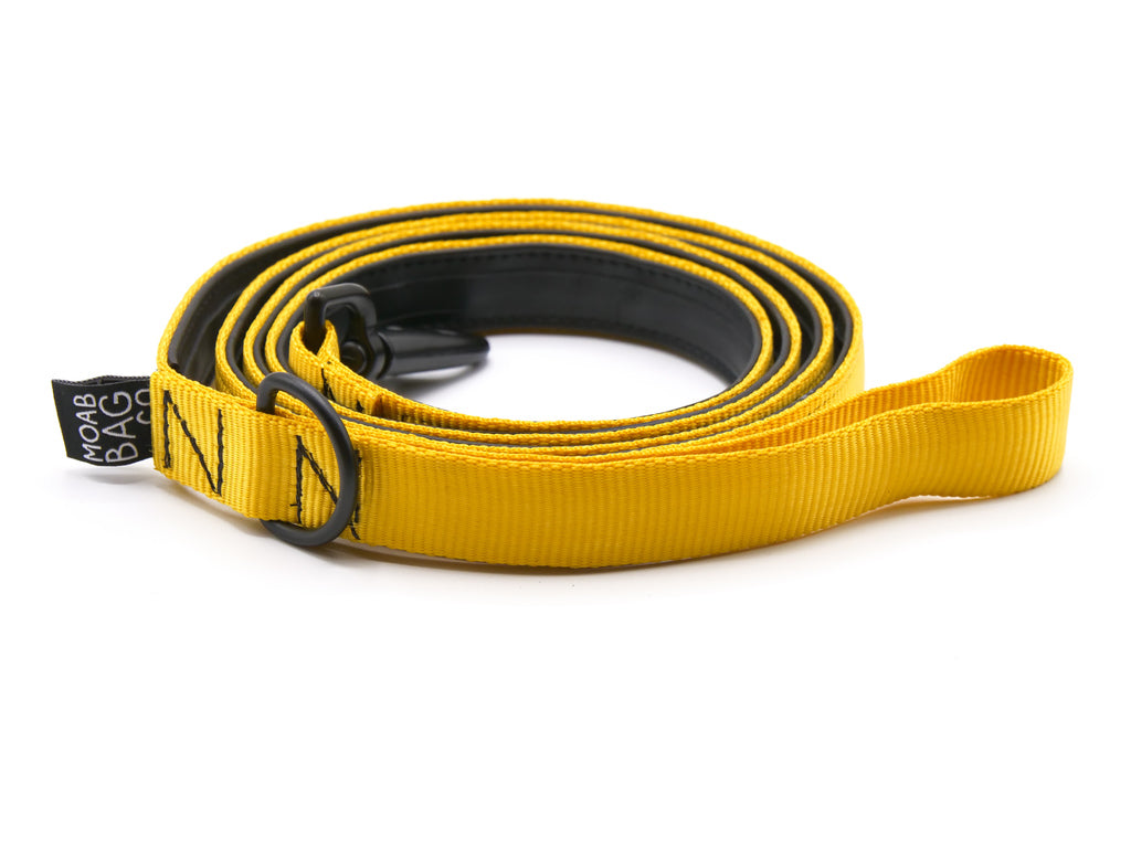 Dog Leash
